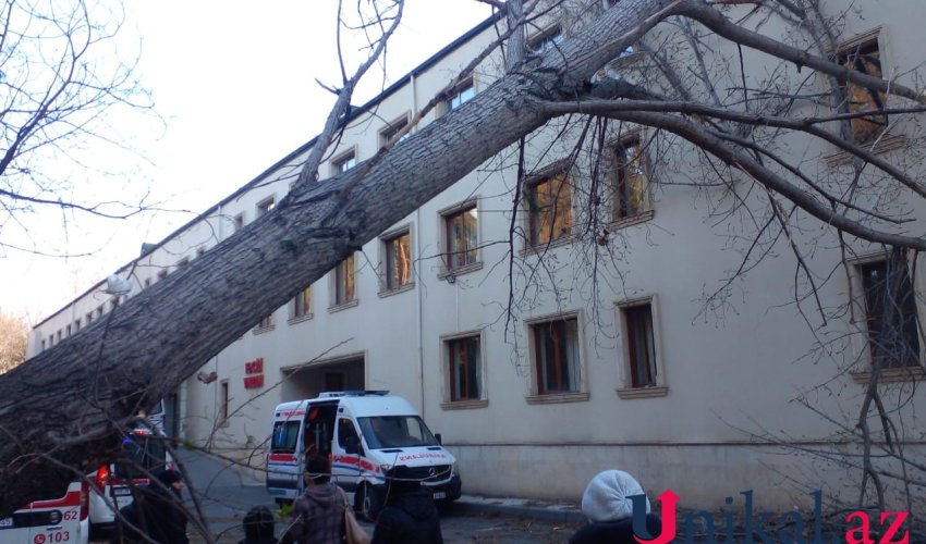 Сильный ветер повредил здание центральной больницы в Мингячевире