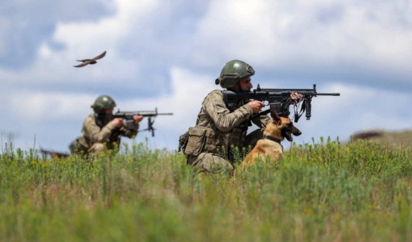 Türkiyə 4 PKK üzvünü zərərsizləşdirib