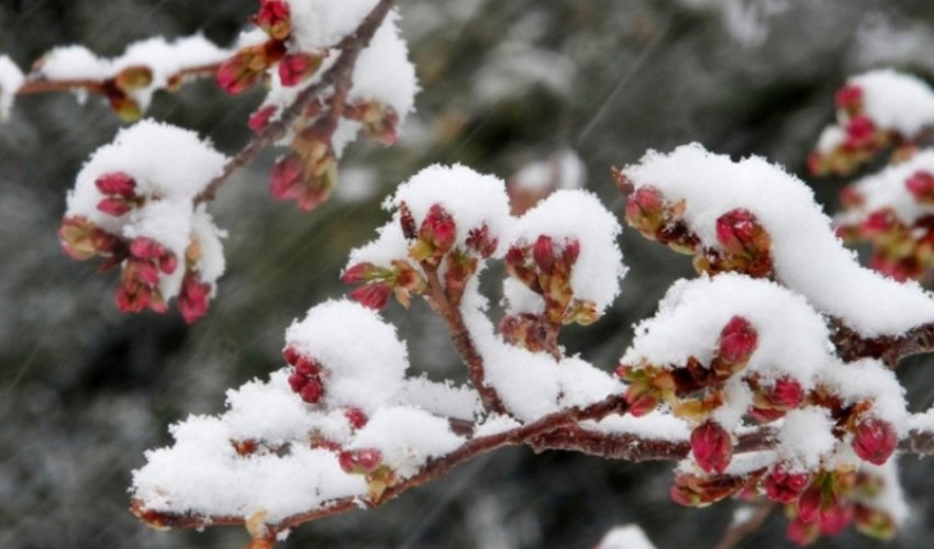 Temperatur 15° enəcək, qar yağacaq - Xəbərdarlıq