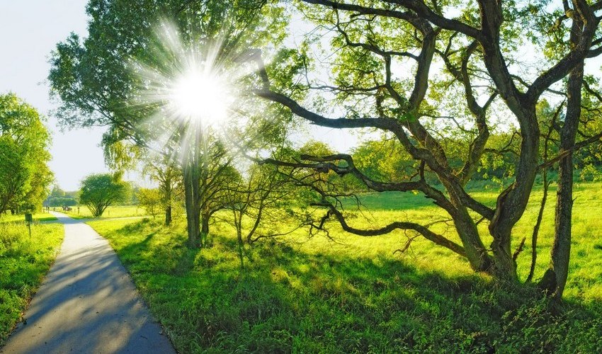 Завтра в Баку будет 22°, в регионах 23° тепла Завтра в Баку будет 22°, в регионах 23° тепла