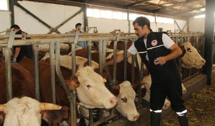 Balıkəsir vilayətində dabaq xəstəliyi ilə əlaqədərkarantin tətbiq edilib