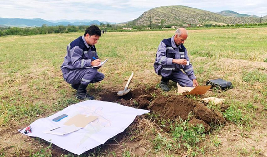 Nazirlik orta fermer təsərrüfatlarında təşviq prosesinə başlayacaq Nazirlik orta fermer təsərrüfatlarında təşviq prosesinə başlayacaq