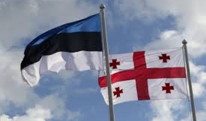 Estoniya Gürcüstan üçün vizasız rejimi ləğv edib Estoniya Gürcüstan üçün vizasız rejimi ləğv edib