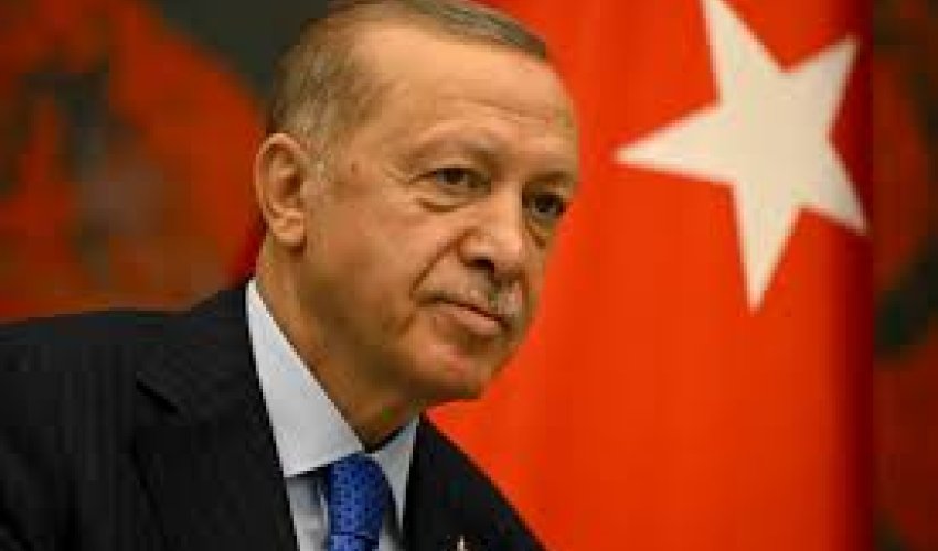 Erdogan, Meloni discuss peace efforts between Ukraine and Russia Erdogan, Meloni discuss peace efforts between Ukraine and Russia