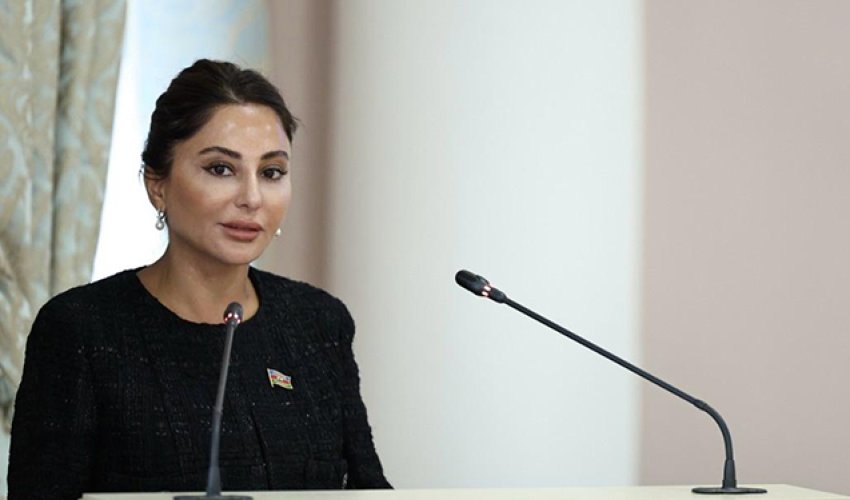 Vicdansız sözünün qanunda istifadəsində bir problem yoxdur - Deputat Vicdansız sözünün qanunda istifadəsində bir problem yoxdur - Deputat