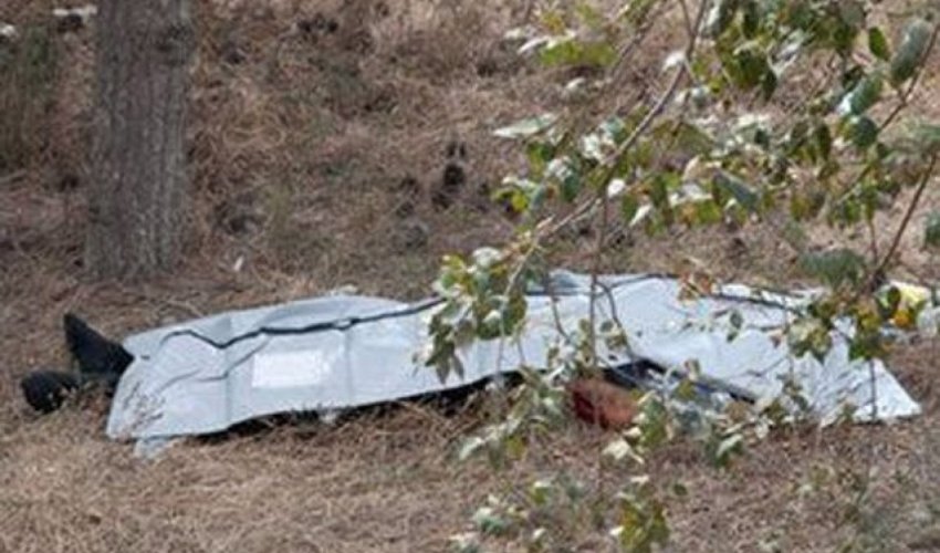 Tut yığmaq üçün ağaca çıxan kişi yıxılaraq ölüb Tut yığmaq üçün ağaca çıxan kişi yıxılaraq ölüb