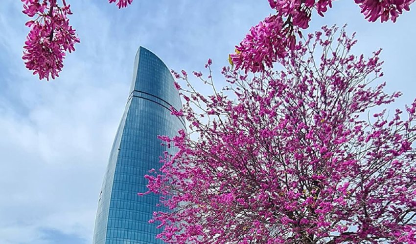 Sabahın havası açıqlanıb Sabahın havası açıqlanıb