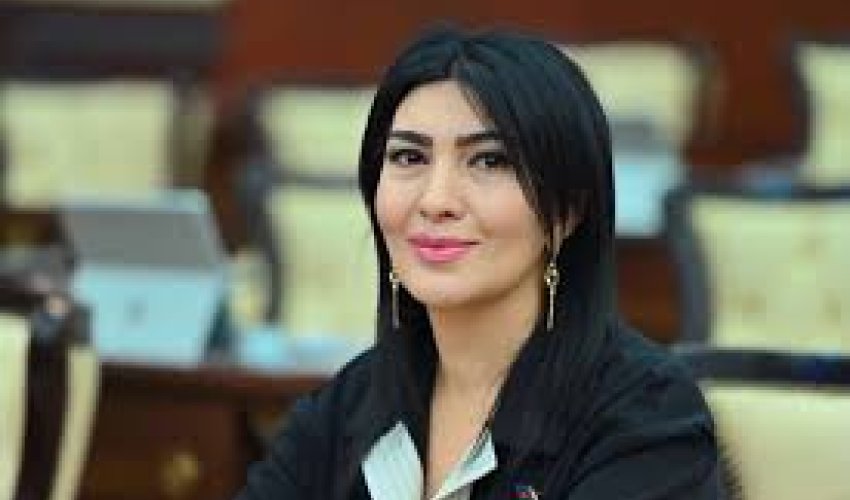 Elgünün qətli bir daha psixologiya dərslərinin keçirilməsini aktual edir - Deputat Elgünün qətli bir daha psixologiya dərslərinin keçirilməsini aktual edir - Deputat