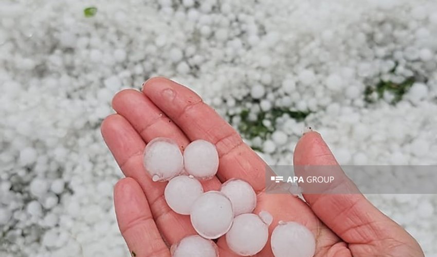 Zaqatalaya dolu yağıb Zaqatalaya dolu yağıb