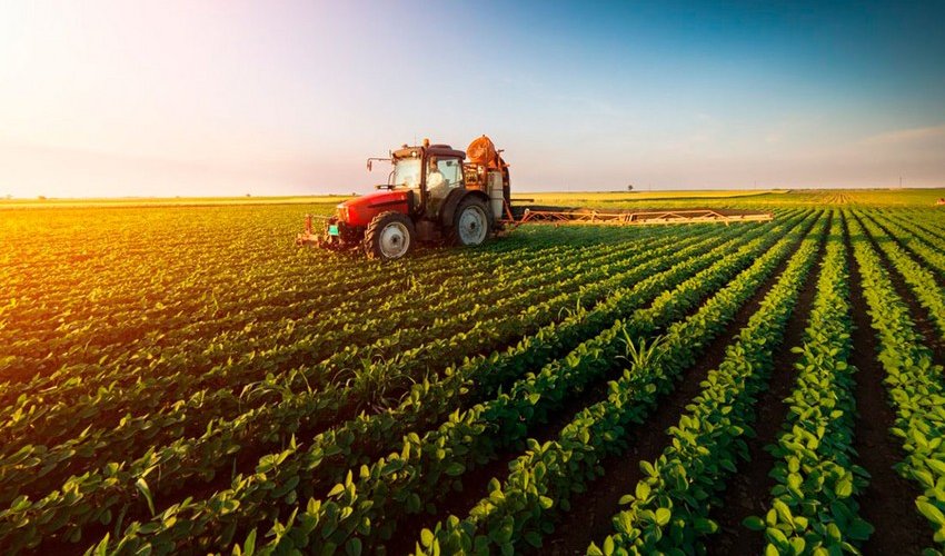 Azerbaijan boosts agricultural spending by 27% over five years