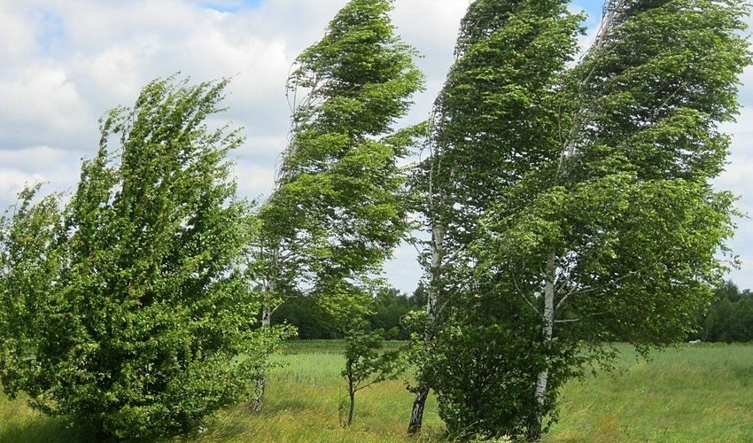 Hava ilə bağlı sarı və narıncı xəbərdarlıq edilib