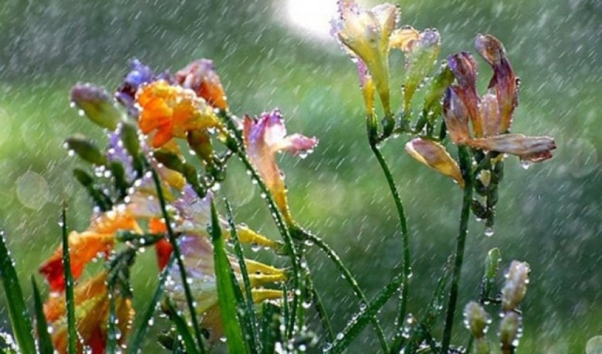 Sabah bəzi ərazilərdə yağış yağacaq Sabah bəzi ərazilərdə yağış yağacaq