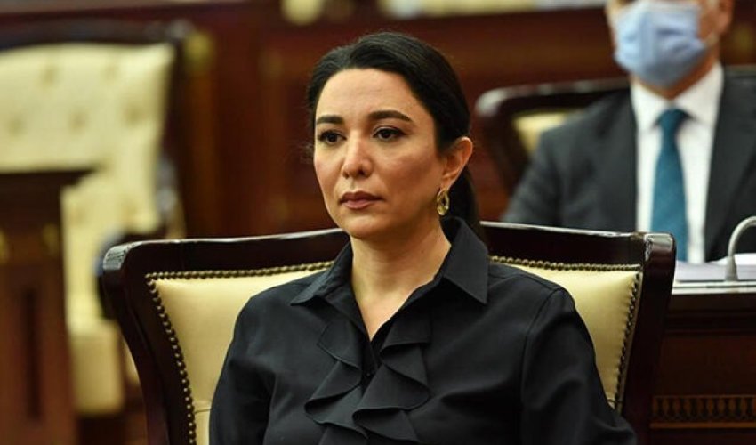 Сабина Алиева потребовала расследовать убийства азербайджанцев в Екатеринбурге Сабина Алиева потребовала расследовать убийства азербайджанцев в Екатеринбурге