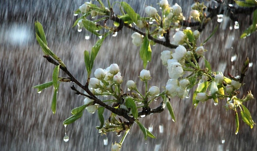 Bəzi yerlərdə yağıntılı və küləkli hava müşahidə olunur - FAKTİKİ HAVA Bəzi yerlərdə yağıntılı və küləkli hava müşahidə olunur - FAKTİKİ HAVA