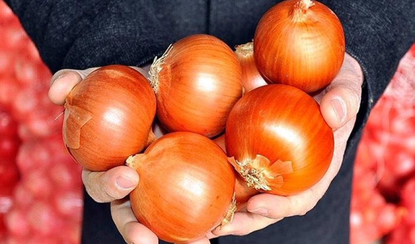 AQTA Rusiyadan gətirilən 639 ton soğanı məhv edib - Səbəb AQTA Rusiyadan gətirilən 639 ton soğanı məhv edib - Səbəb