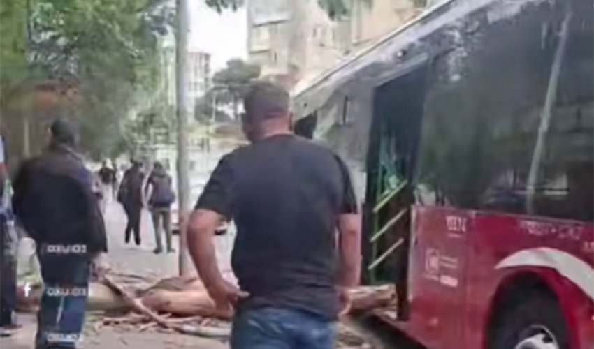 Bakıda külək ağacı avtobusun üzərinə aşırıb - Video Bakıda külək ağacı avtobusun üzərinə aşırıb - Video