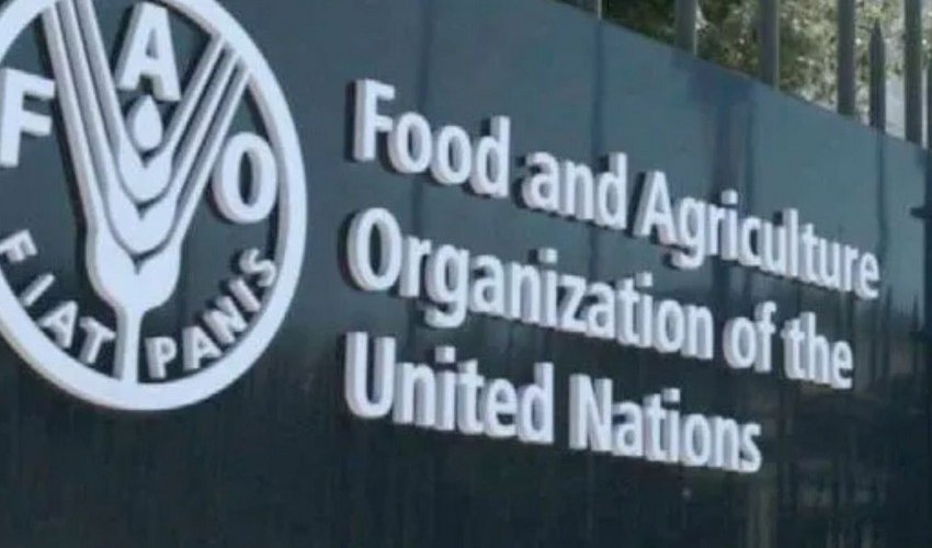 Узбекистан впервые избран в Совет FAO Узбекистан впервые избран в Совет FAO