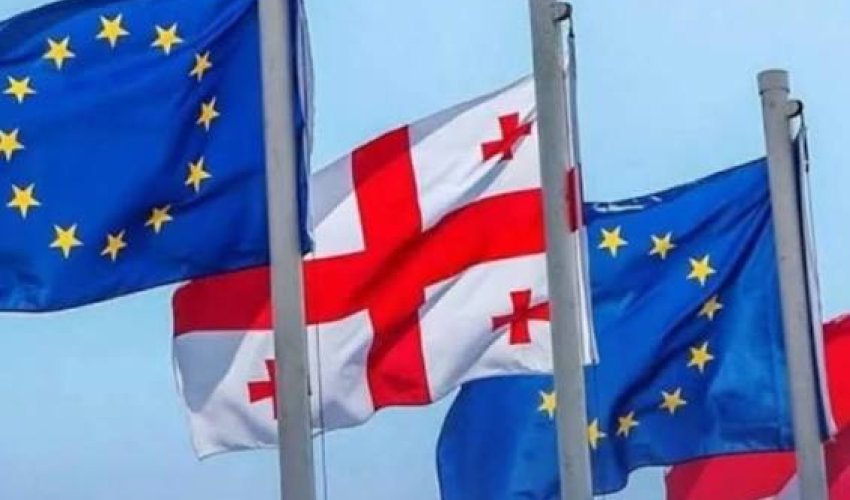 Грузия резко раскритиковала резолюцию Европарламента Грузия резко раскритиковала резолюцию Европарламента