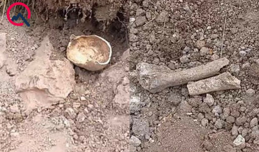 Laçında insan sümüklərinə bənzər skelet qalıqları tapılıb Laçında insan sümüklərinə bənzər skelet qalıqları tapılıb