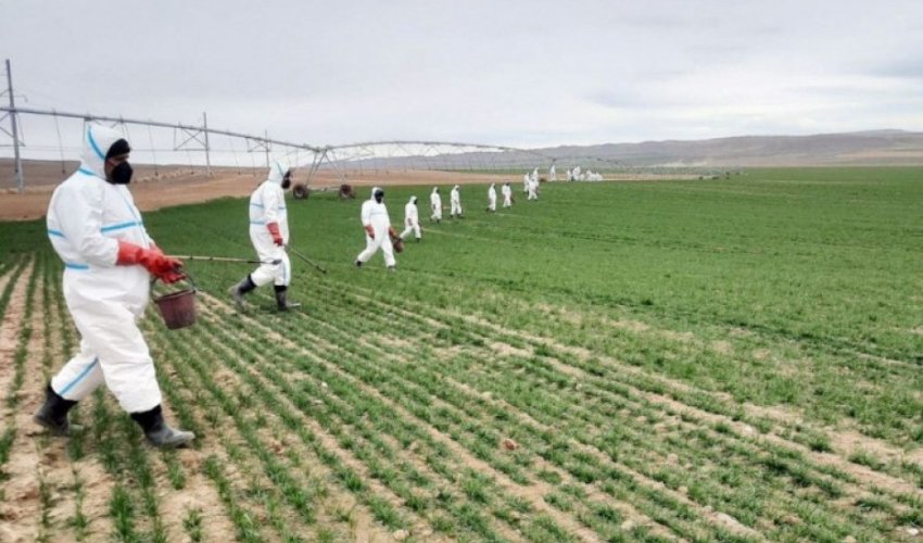Aqrar sığortada süni intellekdən istifadə genişləndiriləcək Aqrar sığortada süni intellekdən istifadə genişləndiriləcək