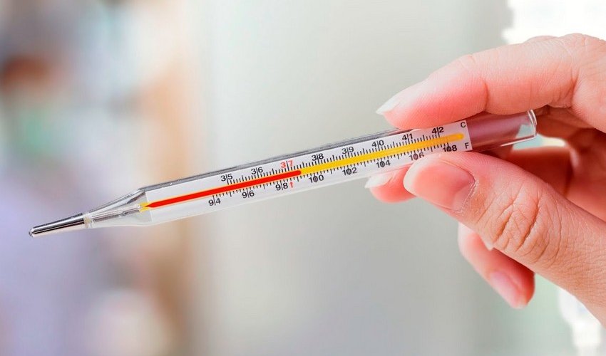 İtaliyada Qərbi Nil qızdırması diaqnozu qoyulmuş səkkizinci xəstə ölüb