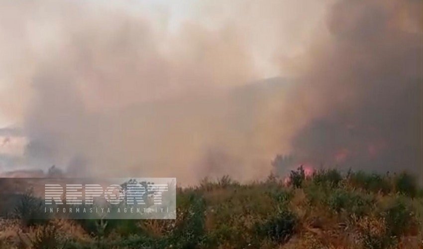 Пожар в горной местности в Агдере перекинулся на лесной массив