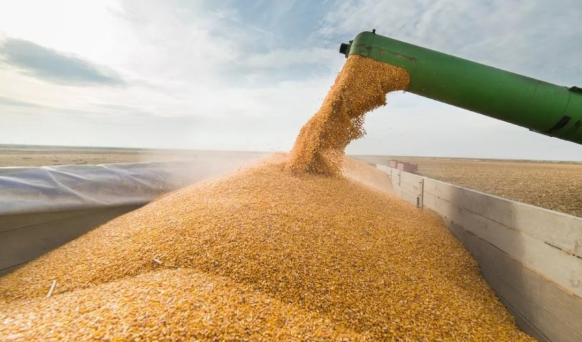 Azerbaijan’s grain imports from Kazakhstan surge 121 times