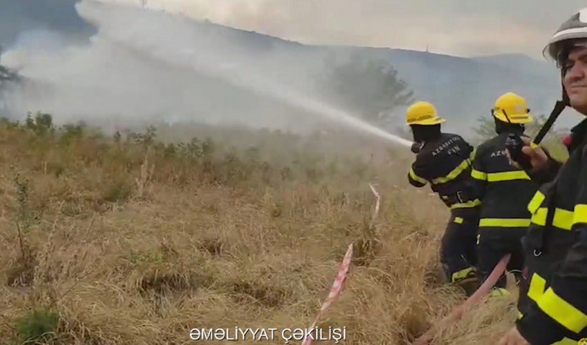 В нескольких селах Газаха горят леса

