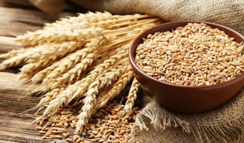 
Azərbaycan buğda idxalını 40 %-dən çox artırıb