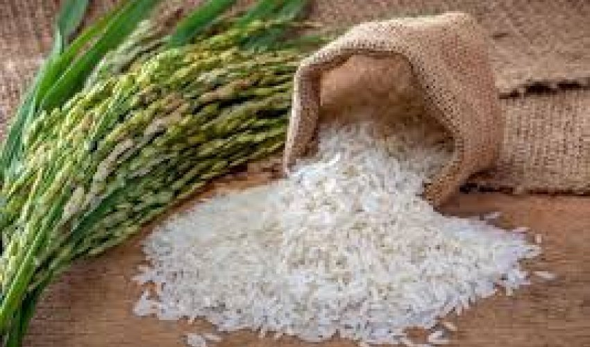 Azərbaycana düyü 10%-ə qədər ucuzlaşıb