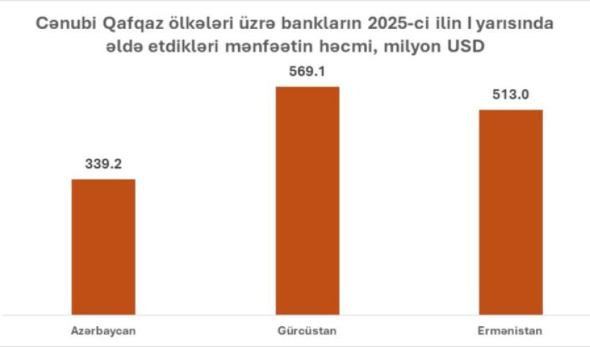 2025-ci ilin 6 ayında Cənubi Qafqazda Gürcüstan bankları ən çox mənfəət qazanıb