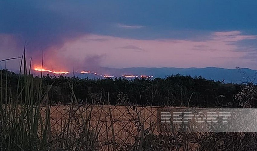 Лесной пожар в Агдере из-за ветра распространился на территорию Агдама Лесной пожар в Агдере из-за ветра распространился на территорию Агдама