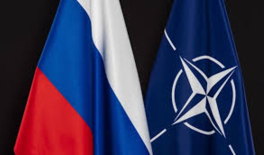 У Трампа предложили принять Россию в НАТО У Трампа предложили принять Россию в НАТО