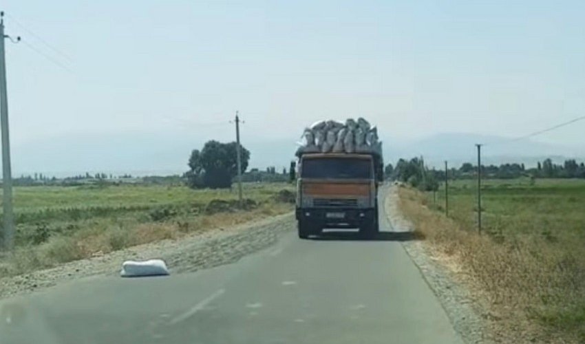 Tərtərdə yola günəbaxan tumları səpən şəxs məsuliyyətə cəlb edilib Tərtərdə yola günəbaxan tumları səpən şəxs məsuliyyətə cəlb edilib