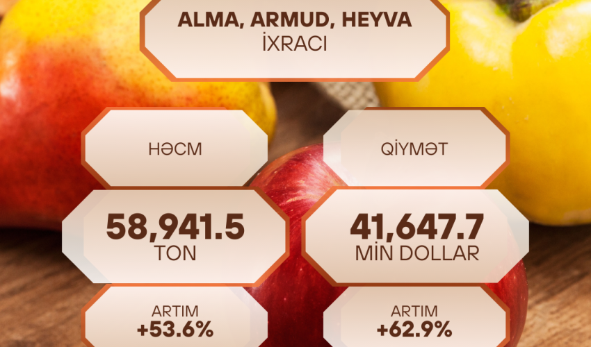 Azərbaycanın alma, armud və heyva ixracı 53,6% artıb Azərbaycanın alma, armud və heyva ixracı 53,6% artıb