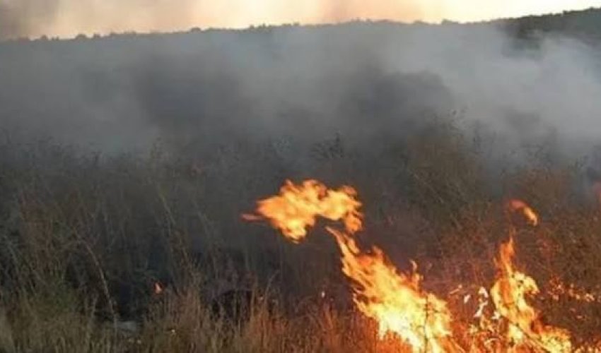Qızılağac Milli Parkının ərazisində yanğın olub
