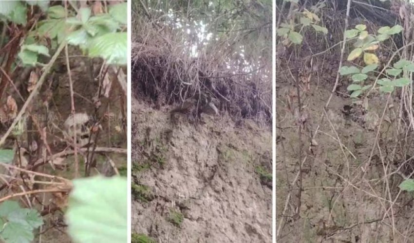 В Губе обнаружены человеческие останки