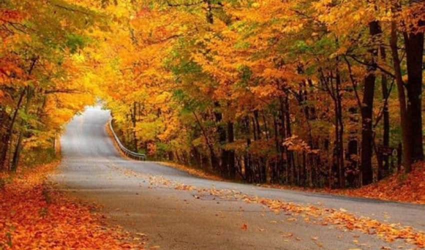 В Азербайджан пришла осень