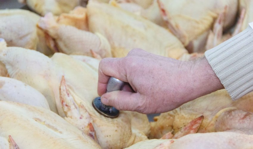 В Азербайджане мясо и птица будут продаваться только с ветеринарным штампом