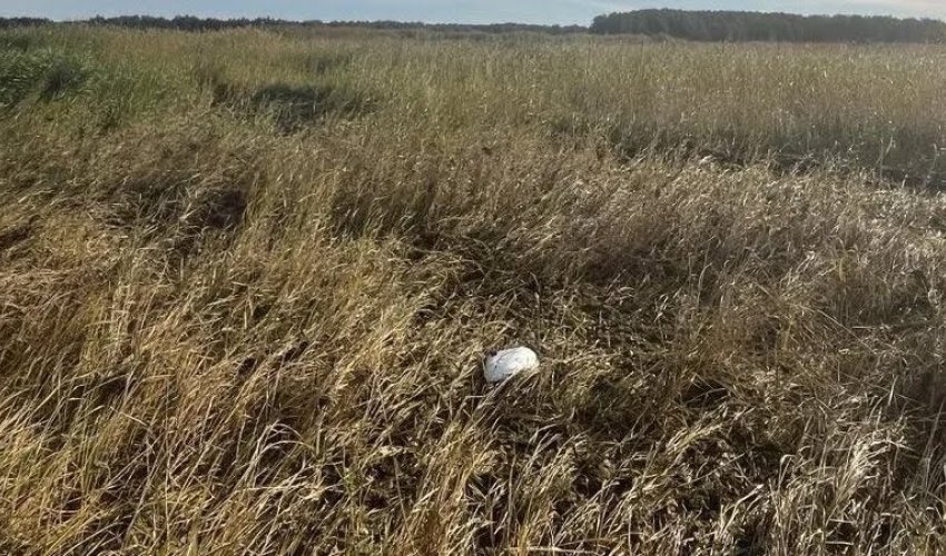 На западе Эстонии обнаружили обломок дрона