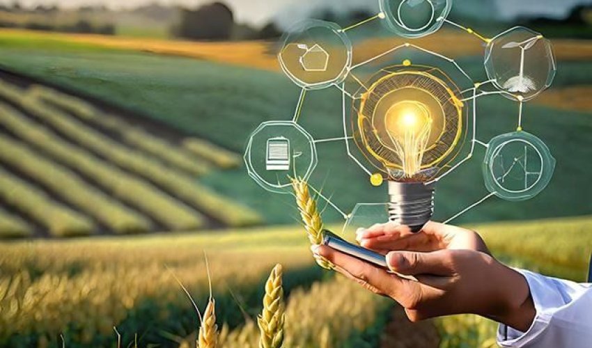 Azerbaijan prepares roadmap for AI application in agricultural sector