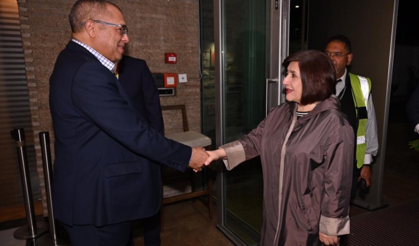 Speaker of Azerbaijani Parliament pays working visit to South Africa Speaker of Azerbaijani Parliament pays working visit to South Africa