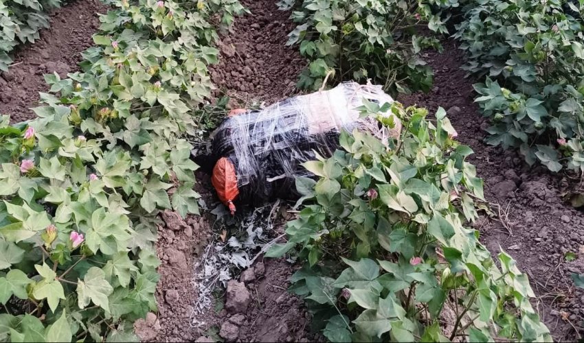 İrandan Azərbaycana 22 kq-dan çox narkotik gətirilməsinin qarşısı alınıb