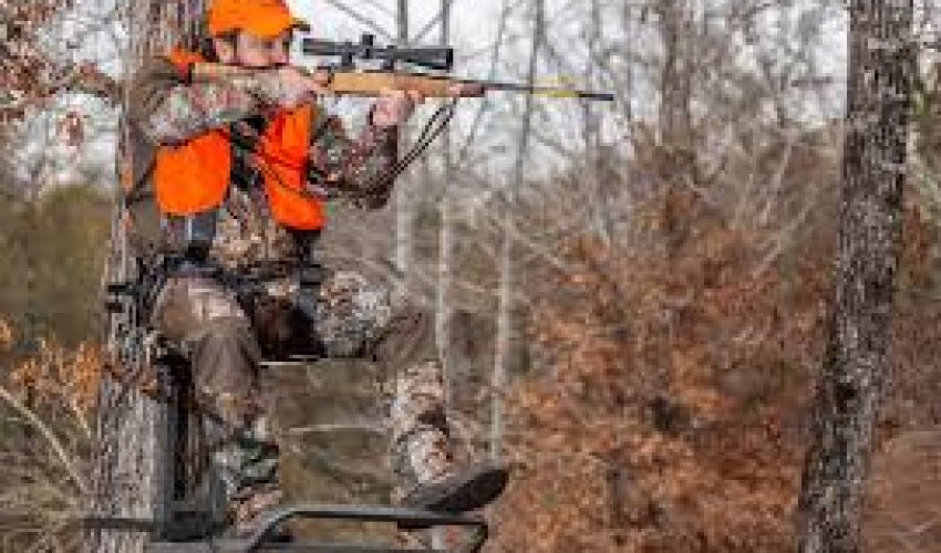 Hunting season opens in Azerbaijan Hunting season opens in Azerbaijan