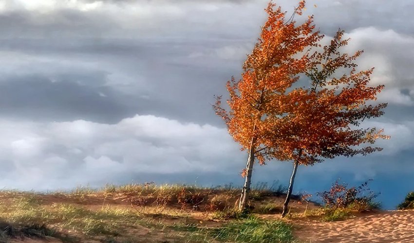 Faktiki hava açıqlanıb Faktiki hava açıqlanıb
