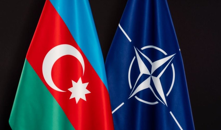 Азербайджан и НАТО обсудили совместные шаги