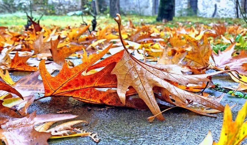 Sabahın hava proqnozu