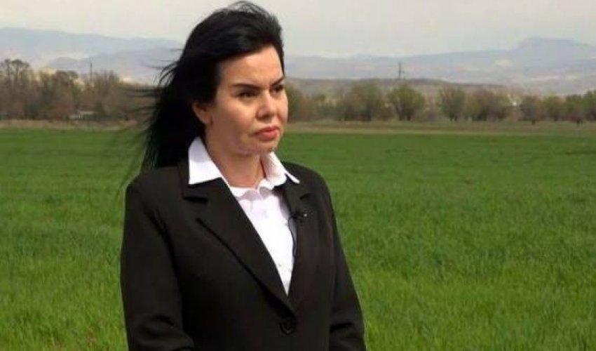 Naxçıvanda nazir müavini vəzifədən çıxarılıb Naxçıvanda nazir müavini vəzifədən çıxarılıb
