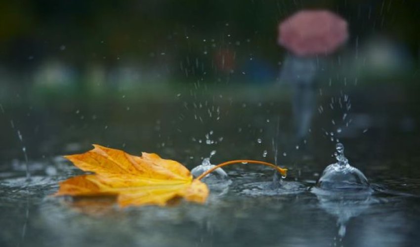 Yağıntılı və küləkli hava şəraiti davam edir - FAKTİKİ HAVA Yağıntılı və küləkli hava şəraiti davam edir - FAKTİKİ HAVA