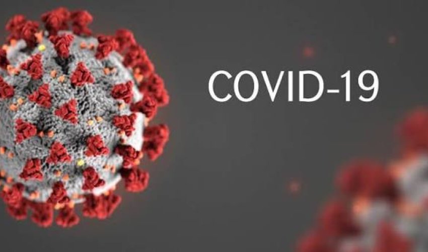 Новый штамм COVID-19 «Франкенштейн» выявлен в Турции Новый штамм COVID-19 «Франкенштейн» выявлен в Турции